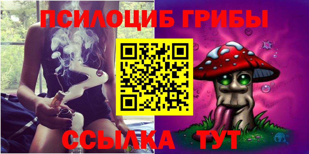 Галлюциногенные грибы прущие грибы  Алейск  Псилоцибиновые грибы Psilocybine cubensis 