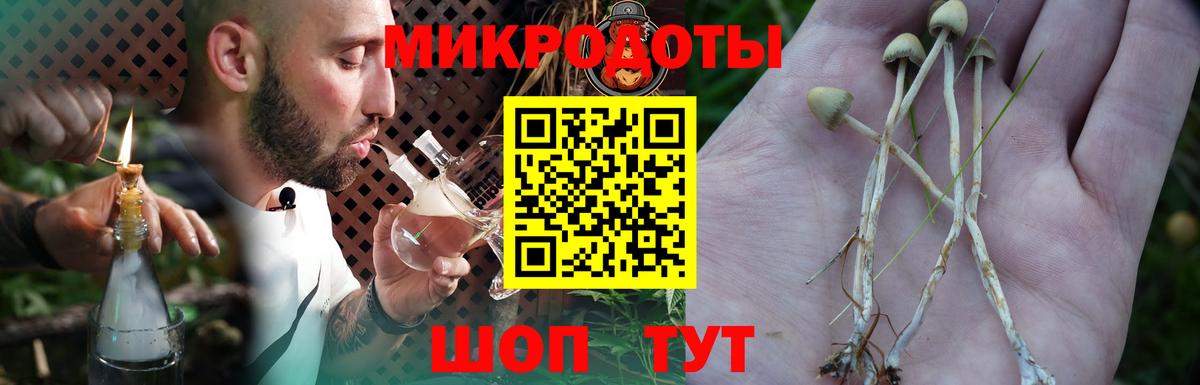 Псилоцибиновые грибы Magic Shrooms Алейск